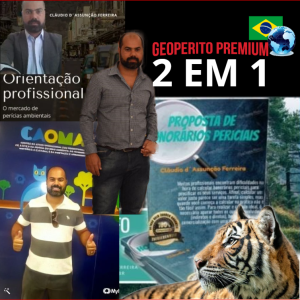 OFERTA 2 EM 1 (ORIENTAÇÃO PROFISSIONAL E PROPOSTA DE HONORÁRIOS PERICIAIS)