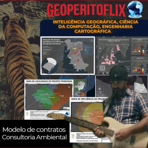 MODELOS DE CONTRATOS CONSULTORIA AMBIENTAL